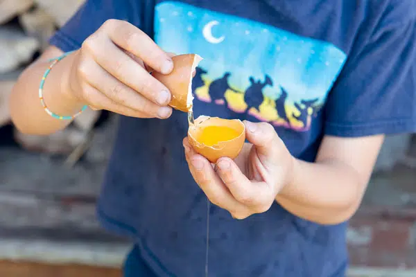 Tempera à l’œuf 5
