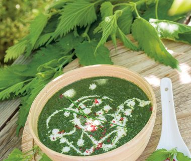 Soupe d'ortie : tous les ingrédients et la recette 1