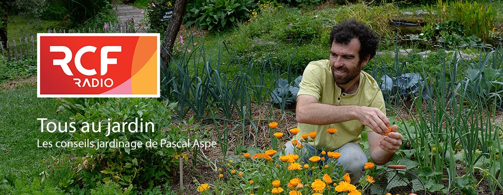 Comment bien planter au balcon ?