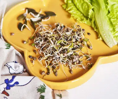 Recettes à base de graines germées