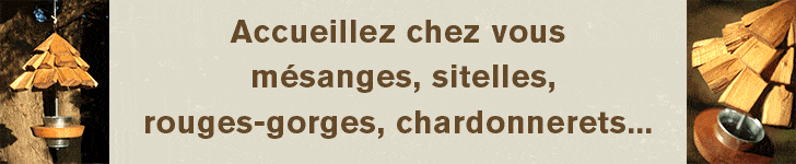 Auto-promo Mangeoire à oiseaux