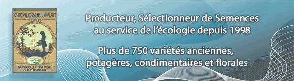 Pavé essembio 594*164