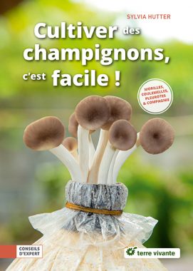 Cultiver des champignons, c'est facile !