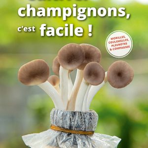 Cultiver des champignons, c'est facile !