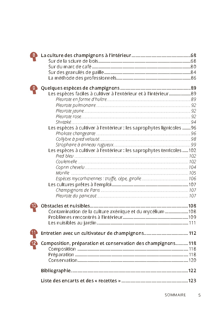 Cultiver des champignons, c’est facile ! 3