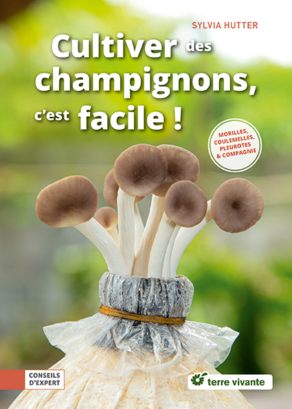 Un kit de culture pour faire pousser des champignons