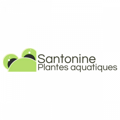 Santonine- Pépinière de plantes aquatiques