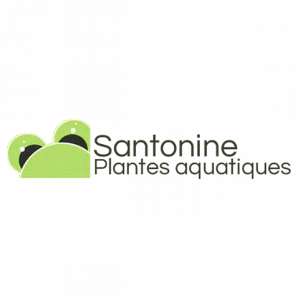 Santonine- Pépinière de plantes aquatiques