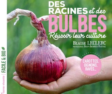 Des racines et des bulbes