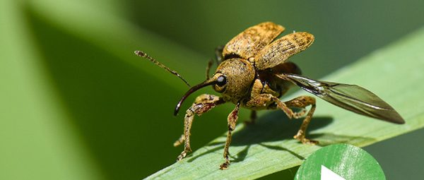 La vie secrète du jardin - Épisode 1 : Booster la biodiversité 1