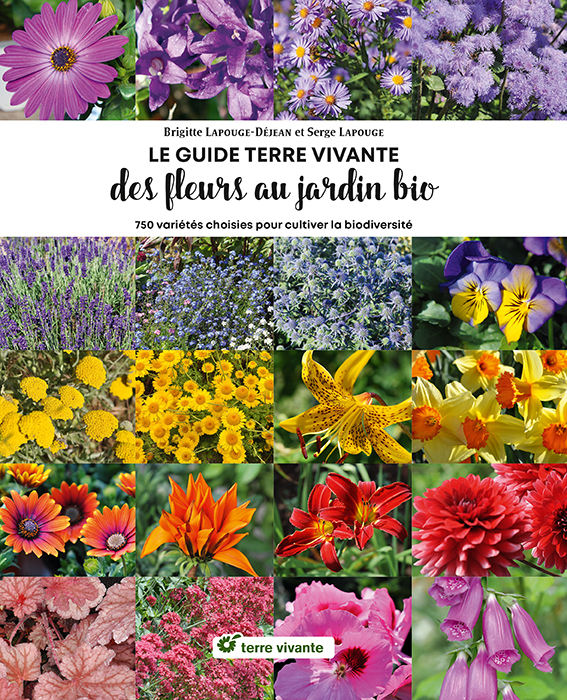 Produits - LABR - Première maison de fleurs de thé