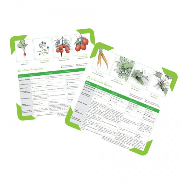 coffret-mon-potager-bio-cle-en-main-frais-de-port-offerts (4)