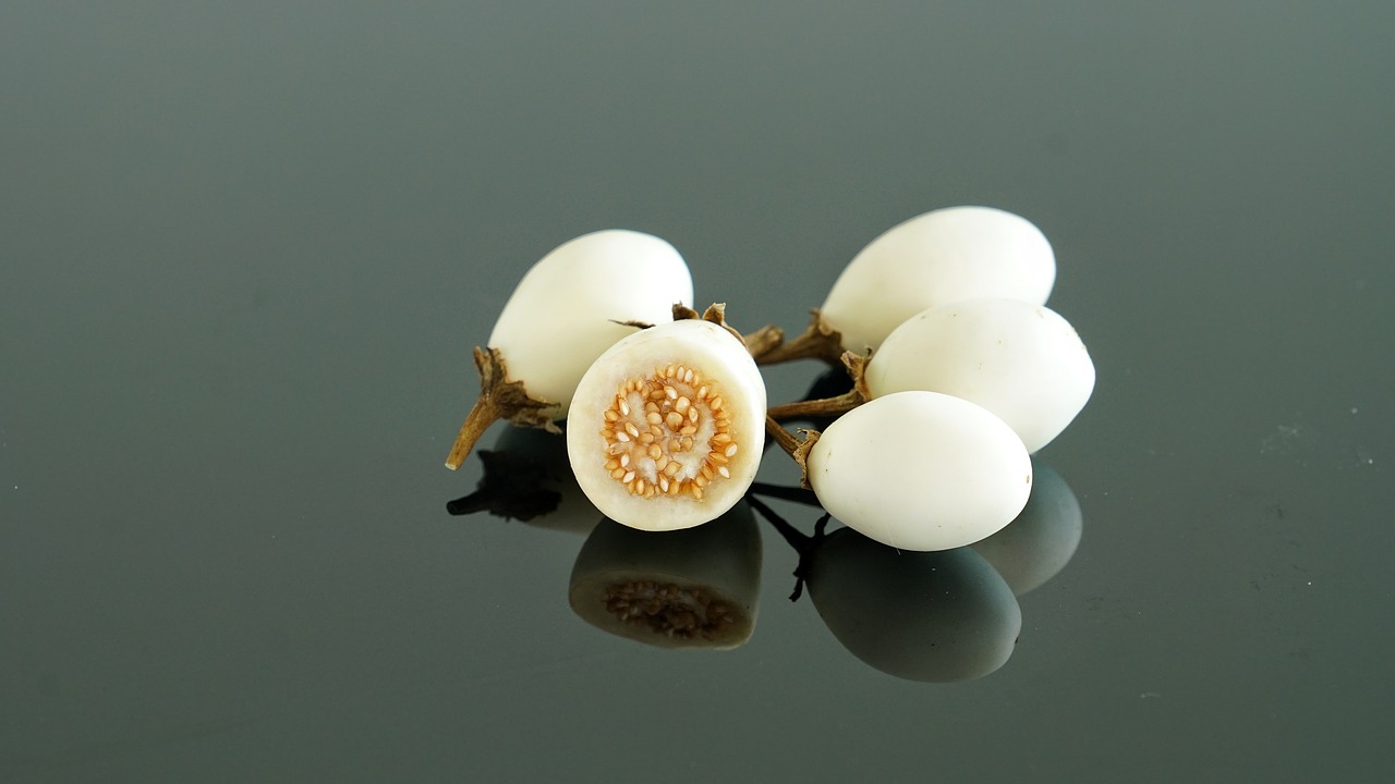 Graines Aubergine blanche ronde à oeuf bio – Jardin’enVie