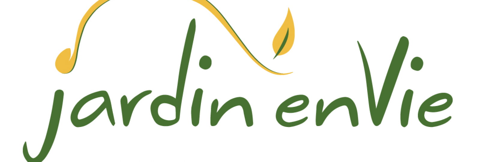 Graines Oignon perpétuel bio – Jardin’enVie