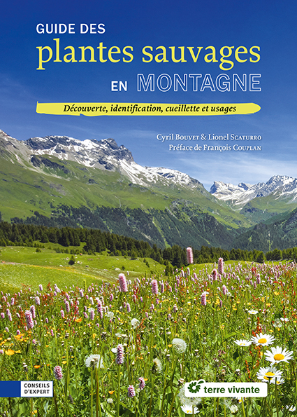 Guide des plantes sauvages en montagne