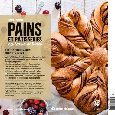 Réussir pains et pâtisseries au levain nature