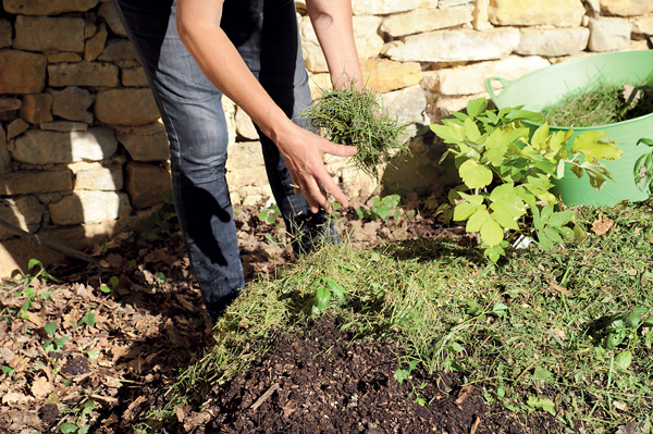 Un minijardin d'aromatiques | 4 saisons n°253 11