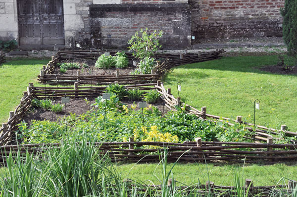 Un minijardin d'aromatiques | 4 saisons n°253 12