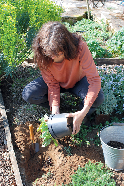Un minijardin d'aromatiques | 4 saisons n°253 2