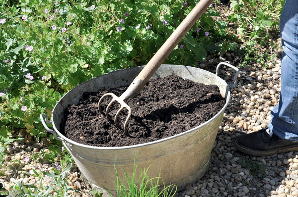 Un minijardin d'aromatiques | 4 saisons n°253 6