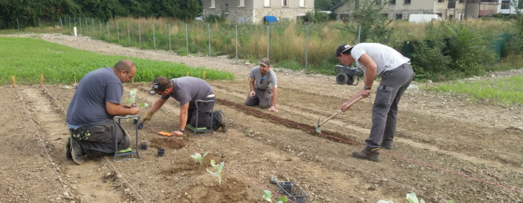 Une ferme urbaine d’un nouveau genre