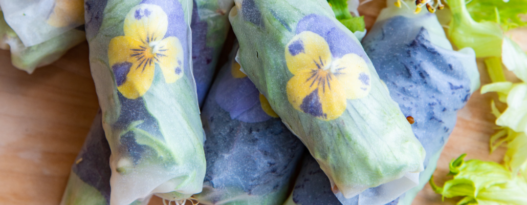 Rouleaux du jardin aux graines germées