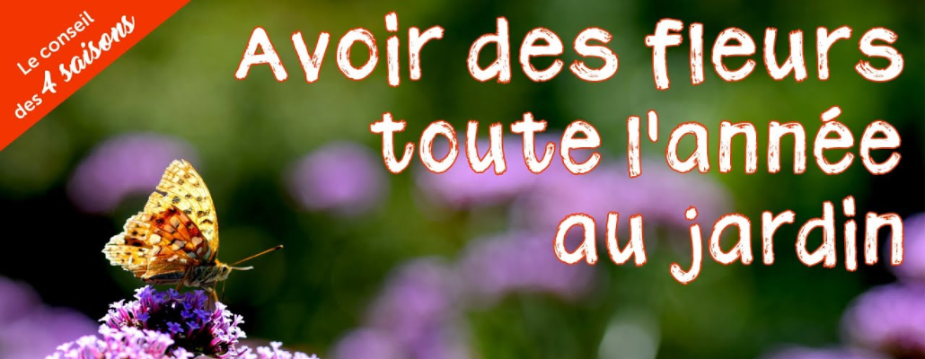 Avoir des fleurs au jardin toute l'année 1