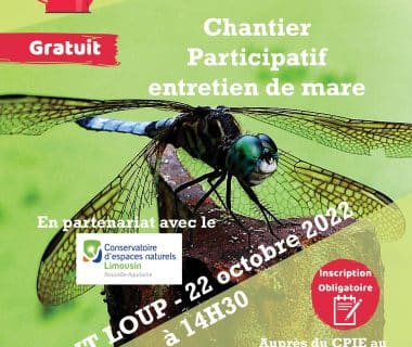 Chantier participatif entretien de mare, le 22 octobre 2022 | Saint Loup (23)