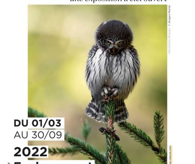 Festival parenthèse nature - Le Grand Est, du 3 mars au 30 septembre 2022 | Golf de Faulquemont (57)