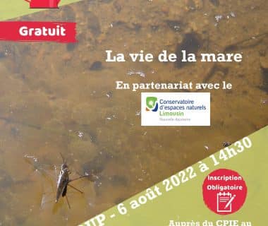 Sortie la vie de la mare, le 6 août 2022 | Saint Loup (23)