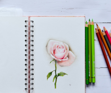 Appel à témoignages : votre carnet d'observations du jardin 1