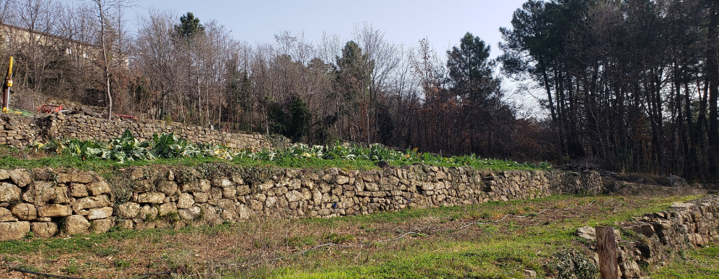 Adopte une terrasse 1