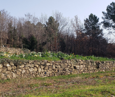 Adopte une terrasse