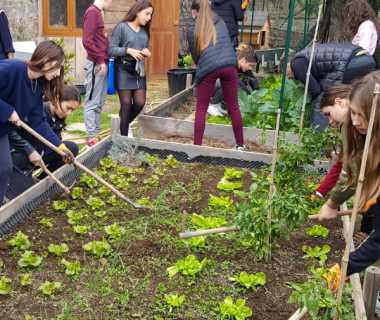 Apprendre l’autonomie alimentaire au collège 1