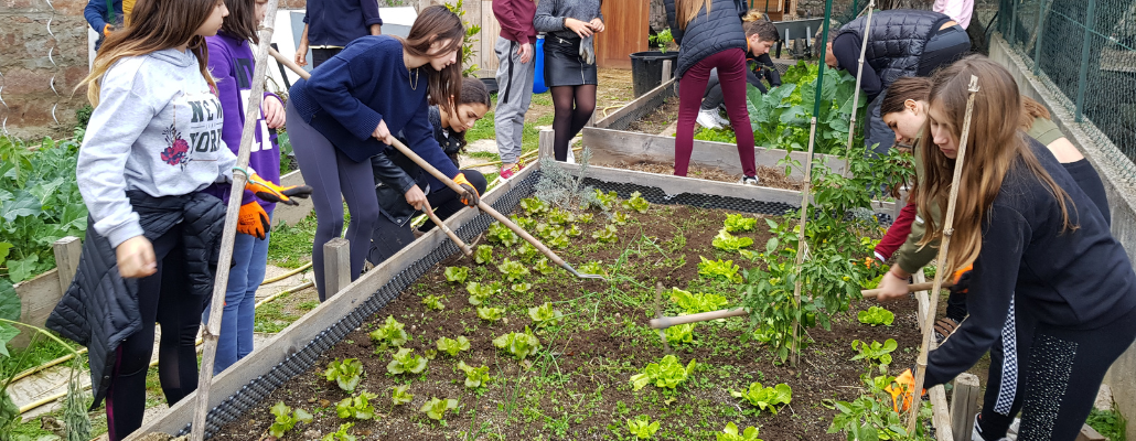 Apprendre l’autonomie alimentaire au collège