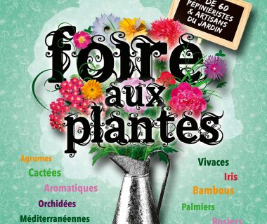 Foire aux plantes, le 25 septembre 2022 | Villeneuve-sur-Vère (81)