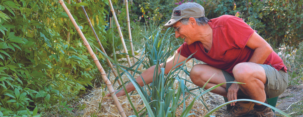 Technique de jardinage : comment faire votre paillage ?