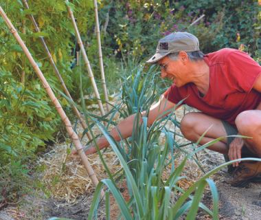 Paillage, binage, buttage, ombrage : comment économiser l'eau au jardin ? 6