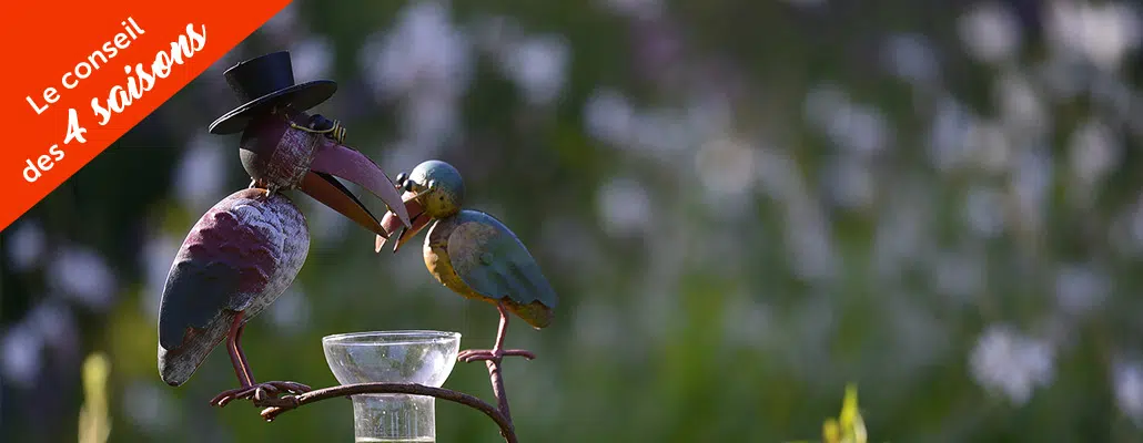 Quelle quantité d'eau pour mon jardin ?