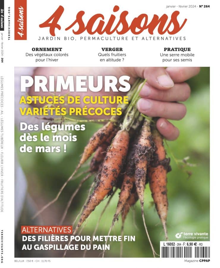 Fleurs à bulbes - Jardiner Malin : jardinage et recettes de saison