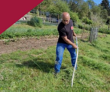 Fauchage au jardin, techniques et entretien 1