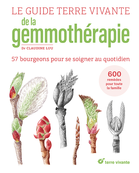 COUV GTV_Gemmotherapie.indd