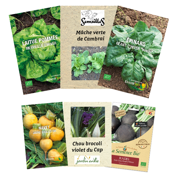 Lot 6 sachets semis d’été