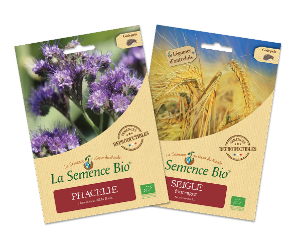 Lot phacélie – seigle