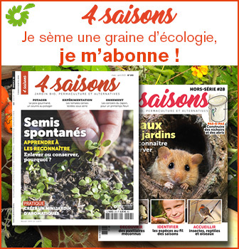 Quand et comment semer les fèves au potager ? - Terre Vivante