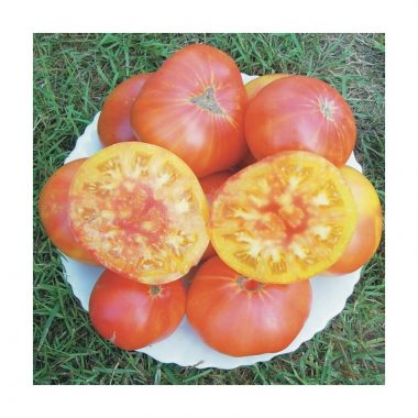 Graines Tomate Ananas bio – Les semailles