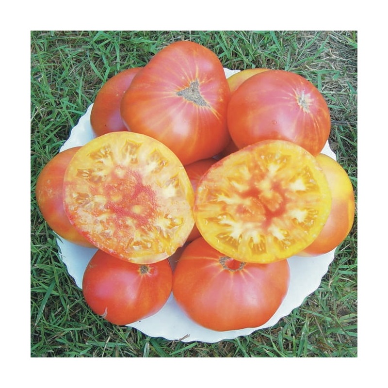 tomate-ananas (1)