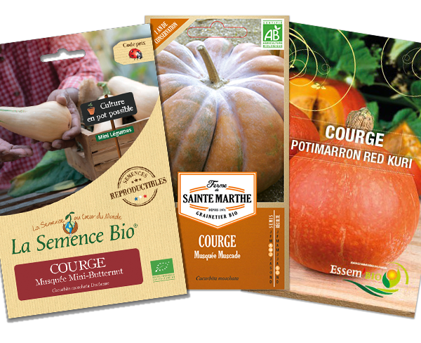 Lot 3 courges