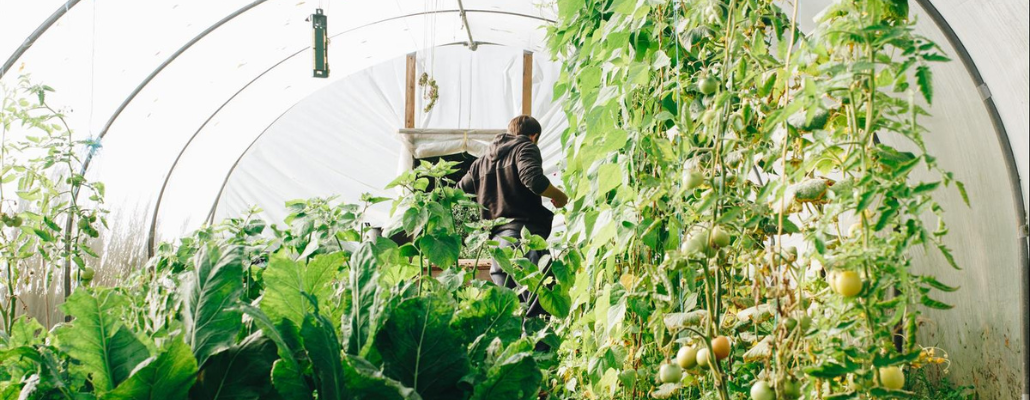 Jardin Couvert  Nos conseils pour construire une serre adossée