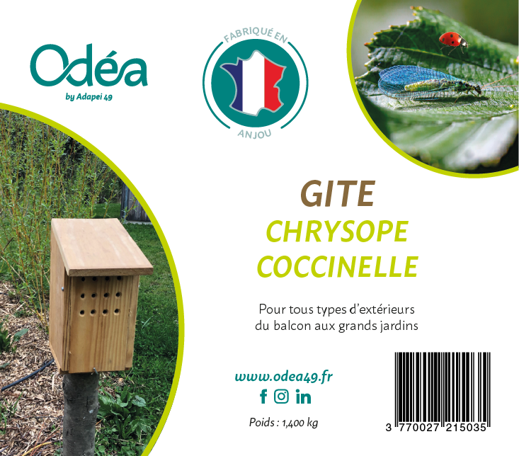 Odéa_EtiquetteAdhésive_Chrysope